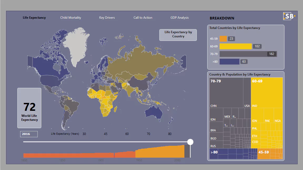 Life Expectancy Report